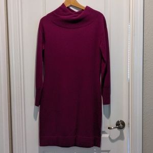Banana Republic cashmere dress
